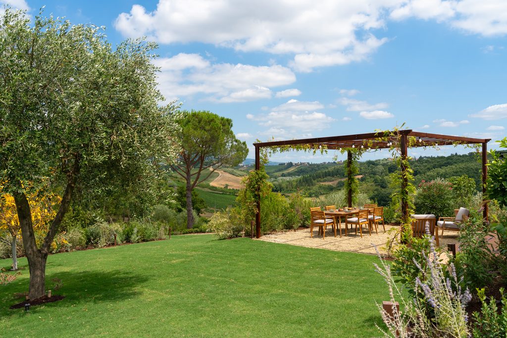 Prato del parco di Castelforno con un ulivo in primo piano e la pergola affacciata sulle colline e sulle vigne.