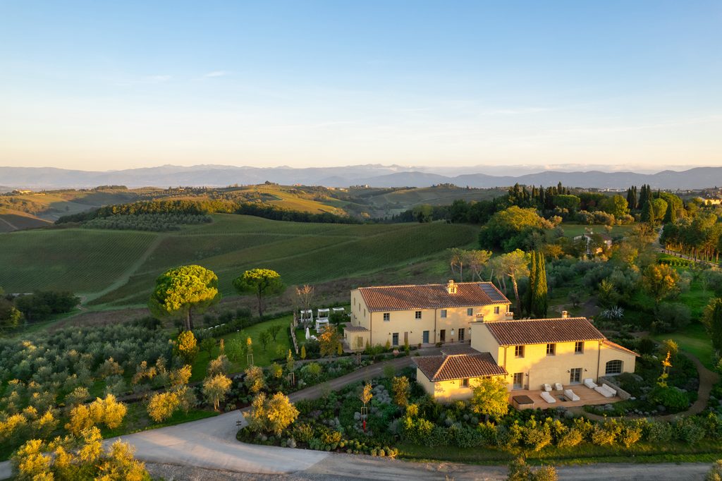 Vista aerea di Podere San Martino all'alba: il casale tra l'oliveto, i pini e le vigne, con le colline sullo sfondo.